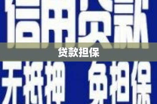 花地玛堂区贷款担保