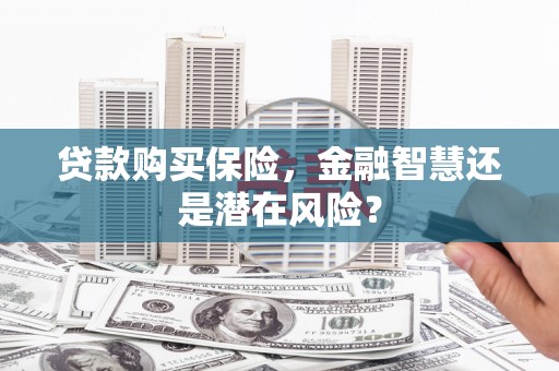 花地玛堂区贷款购买保险，金融智慧还是潜在风险？