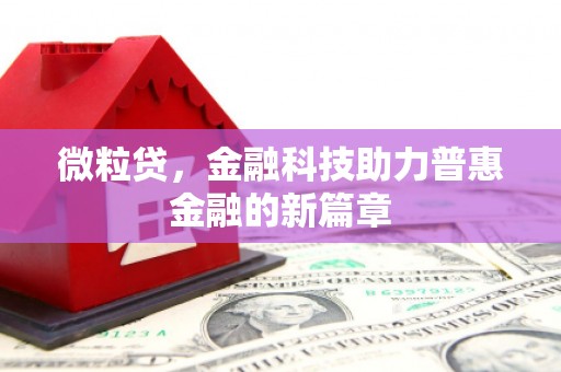 花地玛堂区微粒贷，金融科技助力普惠金融的新篇章
