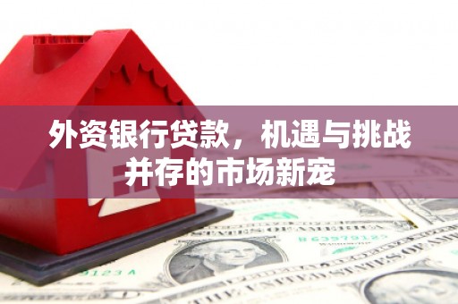 花地玛堂区外资银行贷款，机遇与挑战并存的市场新宠