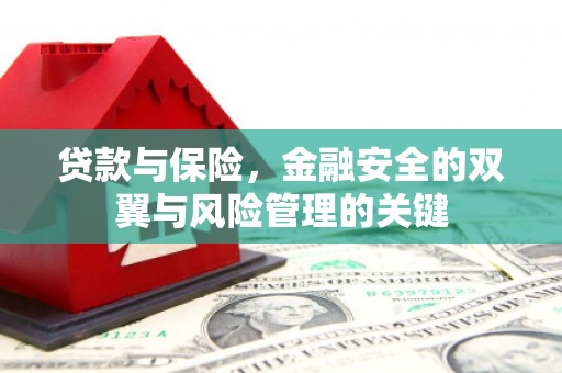花地玛堂区贷款与保险，金融安全的双翼与风险管理的关键