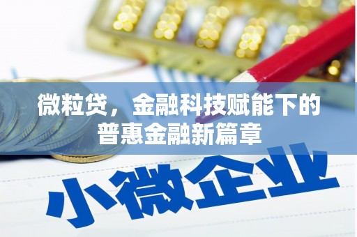 花地玛堂区微粒贷，金融科技赋能下的普惠金融新篇章