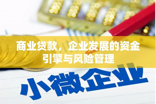 花地玛堂区商业贷款，企业发展的资金引擎与风险管理