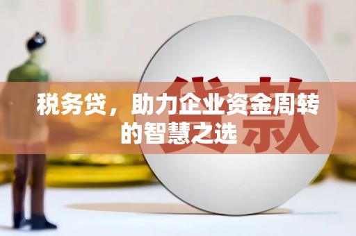 花地玛堂区税务贷，助力企业资金周转的智慧之选
