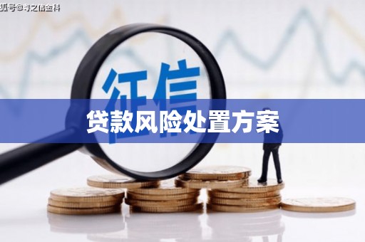 花地玛堂区贷款风险处置方案