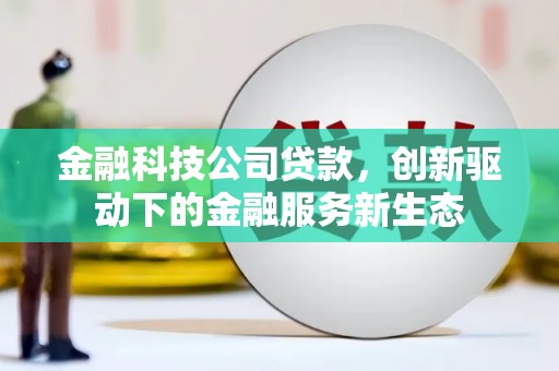 花地玛堂区金融科技公司贷款，创新驱动下的金融服务新生态