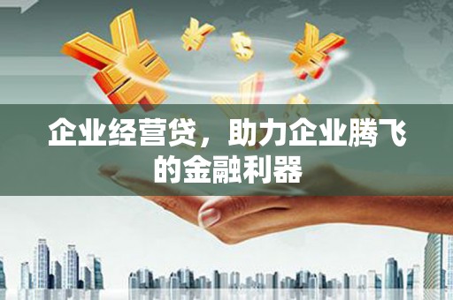 花地玛堂区企业经营贷，助力企业腾飞的金融利器