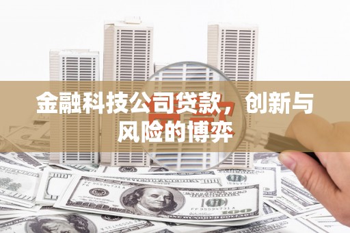 花地玛堂区金融科技公司贷款，创新与风险的博弈
