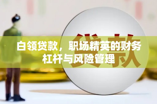 花地玛堂区白领贷款，职场精英的财务杠杆与风险管理