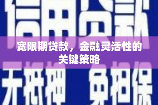 花地玛堂区宽限期贷款，金融灵活性的关键策略