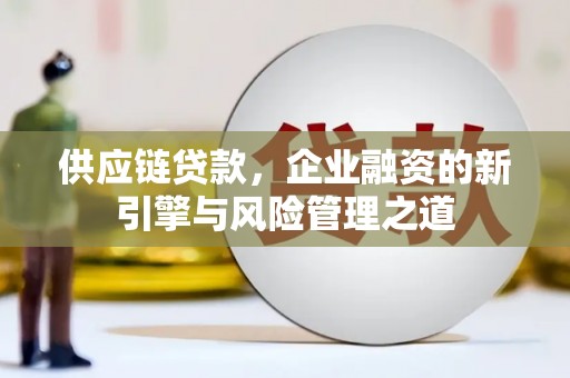 花地玛堂区供应链贷款，企业融资的新引擎与风险管理之道