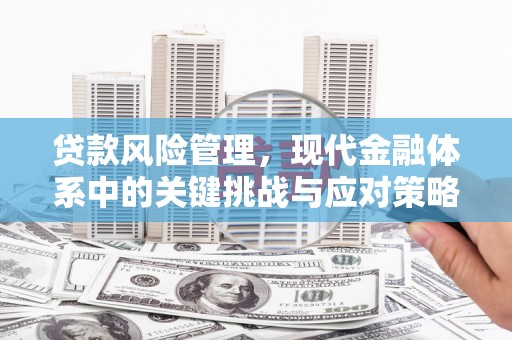 花地玛堂区贷款风险管理，现代金融体系中的关键挑战与应对策略