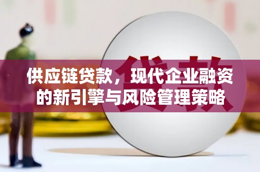 花地玛堂区供应链贷款，现代企业融资的新引擎与风险管理策略