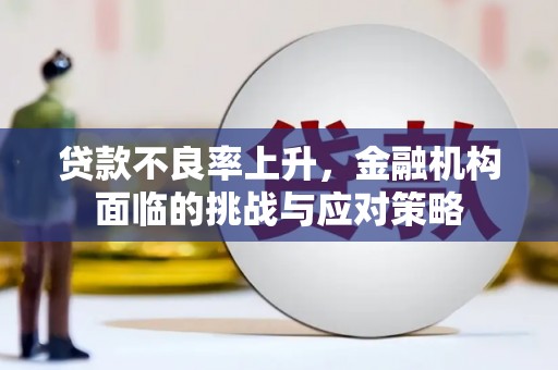 花地玛堂区贷款不良率上升，金融机构面临的挑战与应对策略