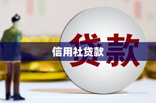 花地玛堂区信用社贷款