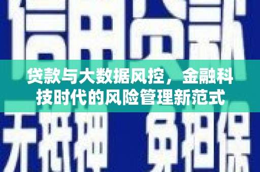 花地玛堂区贷款与大数据风控，金融科技时代的风险管理新范式
