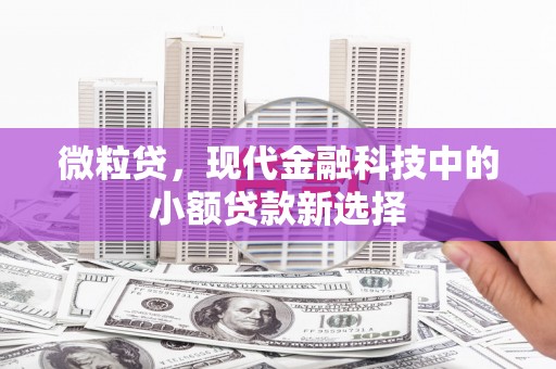 花地玛堂区微粒贷，现代金融科技中的小额贷款新选择