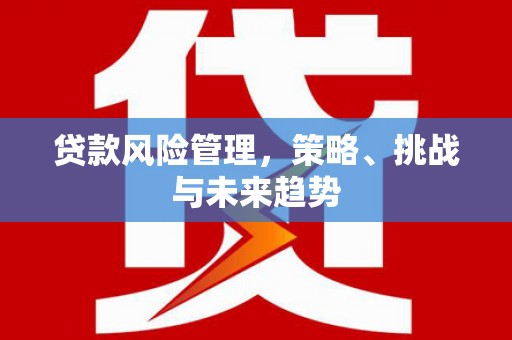 花地玛堂区贷款风险管理，策略、挑战与未来趋势
