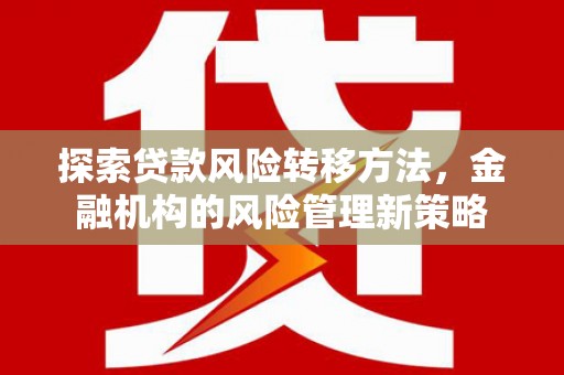花地玛堂区探索贷款风险转移方法，金融机构的风险管理新策略