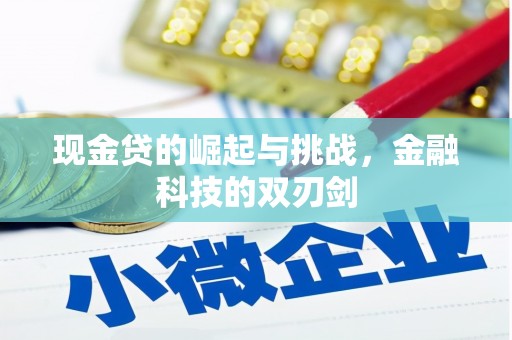 花地玛堂区现金贷的崛起与挑战，金融科技的双刃剑