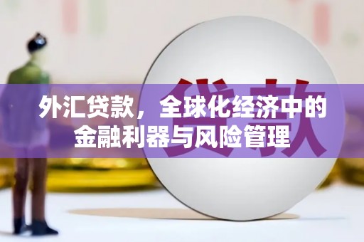 花地玛堂区外汇贷款，全球化经济中的金融利器与风险管理