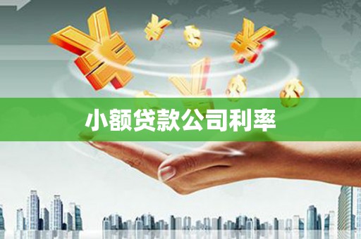 花地玛堂区小额贷款公司利率
