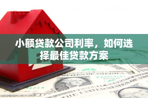 花地玛堂区小额贷款公司利率，如何选择最佳贷款方案