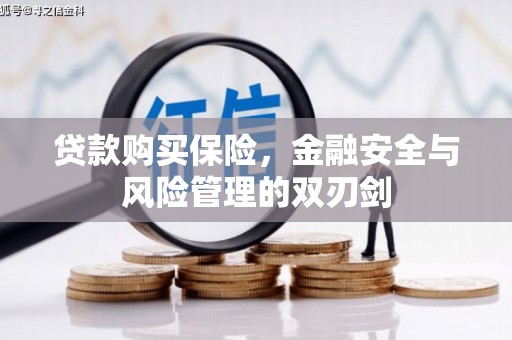 花地玛堂区贷款购买保险，金融安全与风险管理的双刃剑