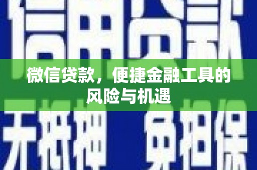 花地玛堂区微信贷款，便捷金融工具的风险与机遇