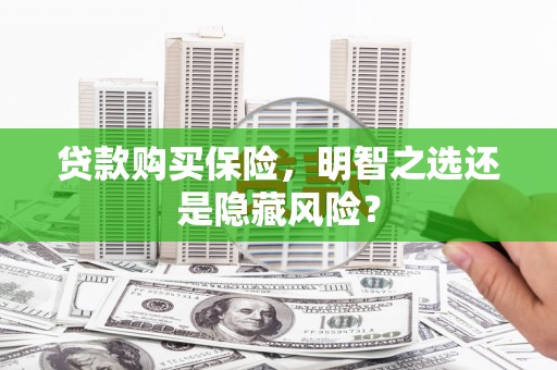 花地玛堂区贷款购买保险，明智之选还是隐藏风险？