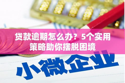 花地玛堂区贷款逾期怎么办？5个实用策略助你摆脱困境