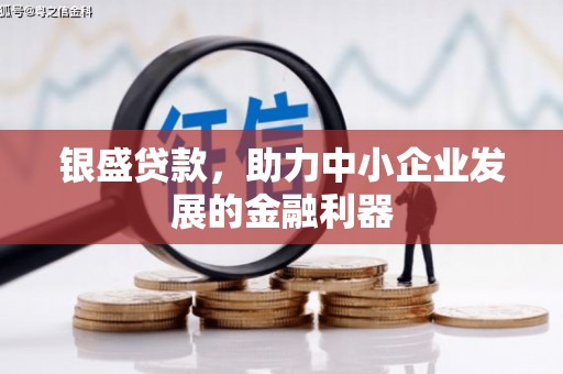 花地玛堂区银盛贷款，助力中小企业发展的金融利器