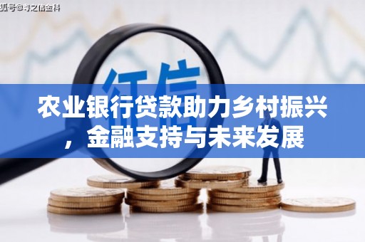 花地玛堂区农业银行贷款助力乡村振兴，金融支持与未来发展