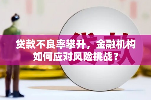 花地玛堂区贷款不良率攀升，金融机构如何应对风险挑战？