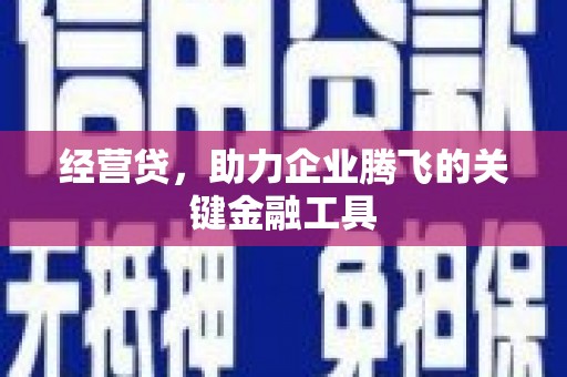 花地玛堂区经营贷，助力企业腾飞的关键金融工具