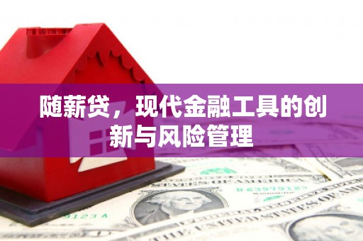 花地玛堂区随薪贷，现代金融工具的创新与风险管理