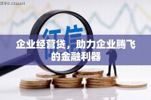 花地玛堂区企业经营贷，助力企业腾飞的金融利器