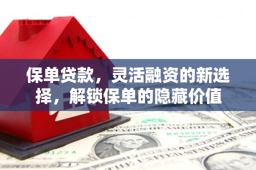 花地玛堂区保单贷款，灵活融资的新选择，解锁保单的隐藏价值