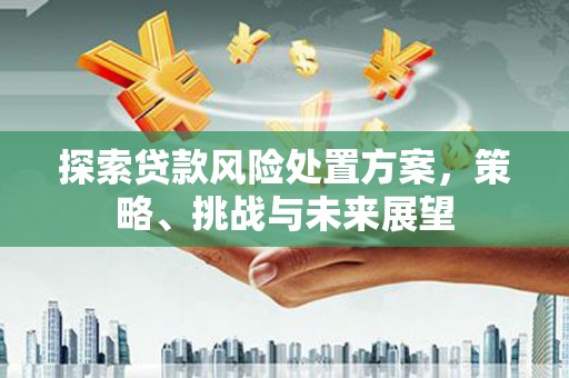 花地玛堂区探索贷款风险处置方案，策略、挑战与未来展望