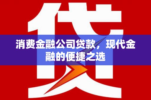 花地玛堂区消费金融公司贷款，现代金融的便捷之选