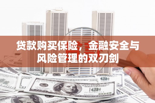 花地玛堂区贷款购买保险，金融安全与风险管理的双刃剑