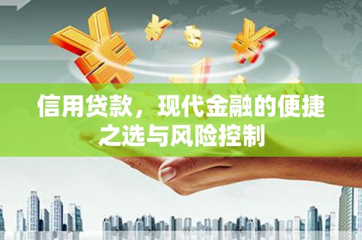 花地玛堂区信用贷款，现代金融的便捷之选与风险控制