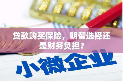 花地玛堂区贷款购买保险，明智选择还是财务负担？