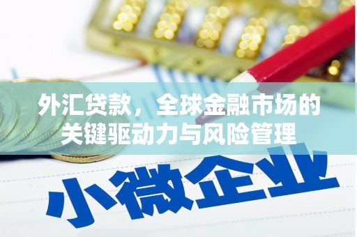 花地玛堂区外汇贷款，全球金融市场的关键驱动力与风险管理