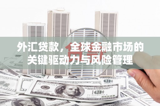 花地玛堂区外汇贷款，全球金融市场的关键驱动力与风险管理