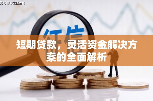 花地玛堂区短期贷款，灵活资金解决方案的全面解析
