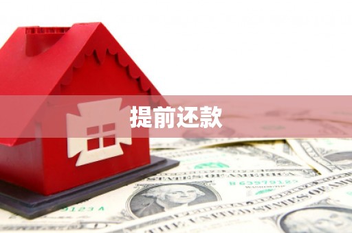 花地玛堂区提前还款