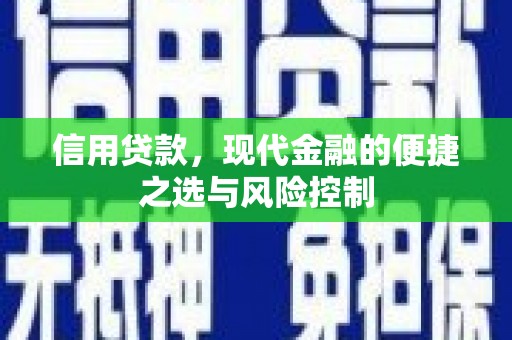 花地玛堂区信用贷款，现代金融的便捷之选与风险控制