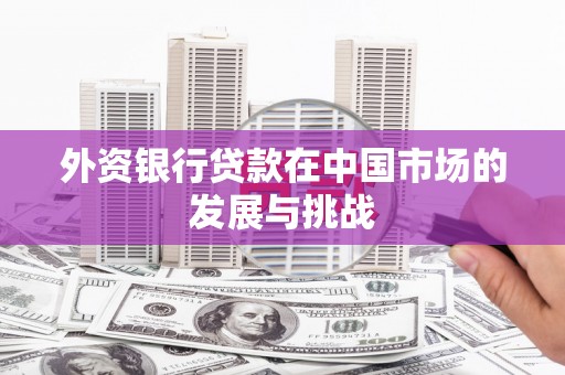 花地玛堂区外资银行贷款在中国市场的发展与挑战