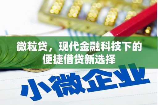 花地玛堂区微粒贷，现代金融科技下的便捷借贷新选择